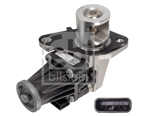 EGR Valve
